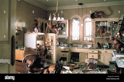 Jumanji 1995 monkey hi-res stock photography and images - Alamy