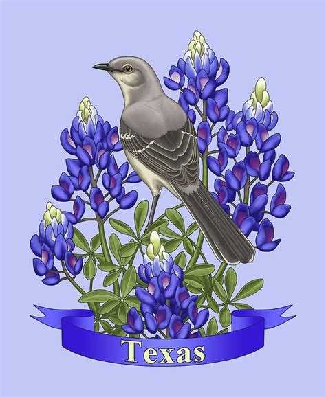 Texas State Mockingbird and Bluebonnet Flower by Crista Forest | Texas art, State birds, Blue ...