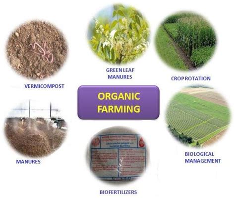 Organic farming, Biofertilizers and their uses in Agriculture | Download Scientific Diagram