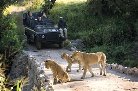 Lion Sands River Lodge - Safari Africa