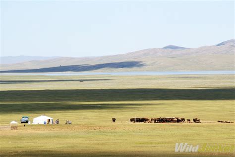 The Landscapes of Mongolia: from Grasslands to Mountains