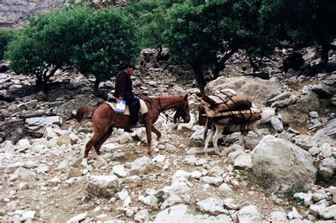 Last Vestige of Tribal Pastoral Nomadism: A Photographic Documentary ...