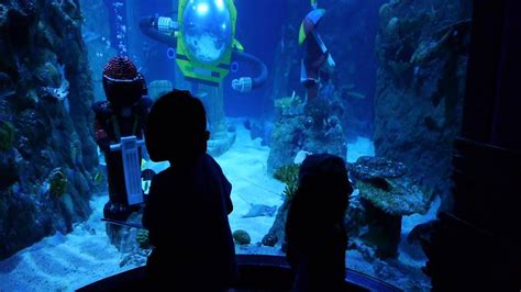 SEA LIFE Aquarium @ LEGOLAND, CA - YouTube