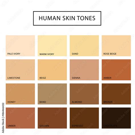 Human skin tone set Stock Vector | Adobe Stock