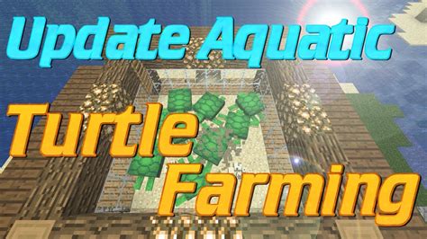 How to make a turtle farm in Minecraft 1.13 Update Aquatic | Minecraft ...