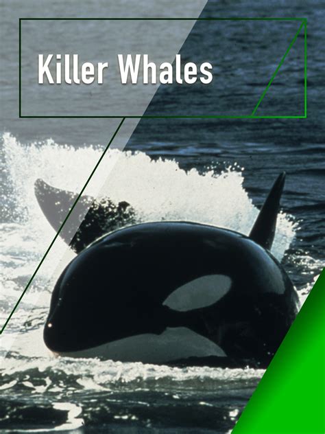 Prime Video: Killer Whales