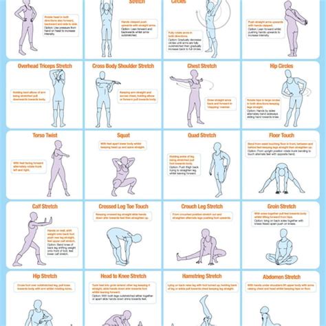 Stretching Chart