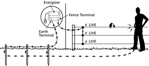 Electric Fence Transmitter Diagram