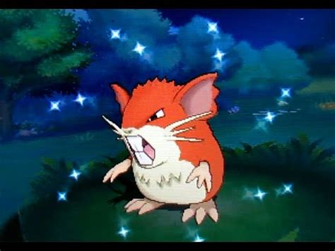 DEXNAV: Shiny Raticate after 370 Encounters on Route 118! (Pokemon ...