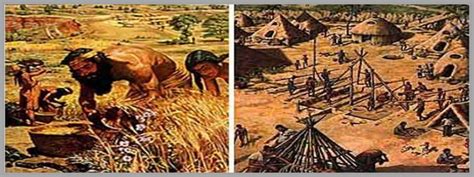 NEOLITHIC REVOLUTION AND THE DISCOVERY OF AGRICULTURE - food recipes