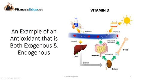 Pin on Antioxidants