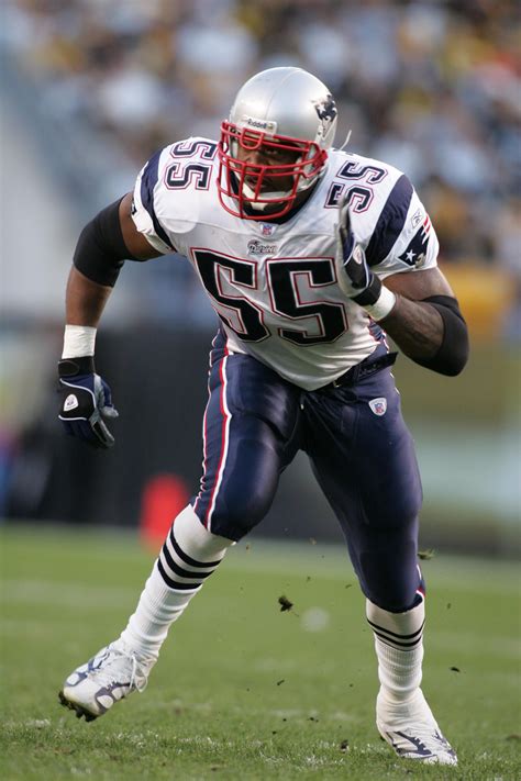 Willie McGinest | New england patriots football, Patriots football, Nfl ...