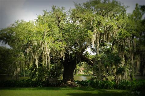 Brazoria County Historical County Museum