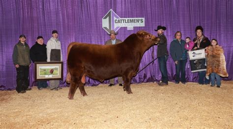 Red Angus Cattle Shine at Cattlemen’s Congress | Morning Ag Clips