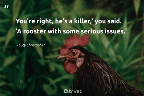 15 Rooster Quotes About The Iconic Farm Birds