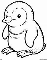 Cute Penguin Coloring Page sketch template