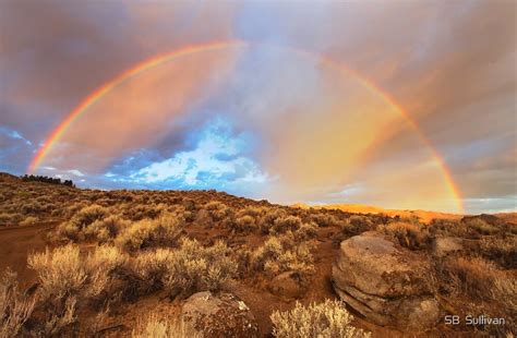 "Sunrise Rainbow" by Steven Sullivan | Redbubble