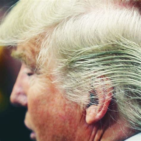 Donald Trump Hairstyle - Can Trump S Hair Survive Inauguration Day ...