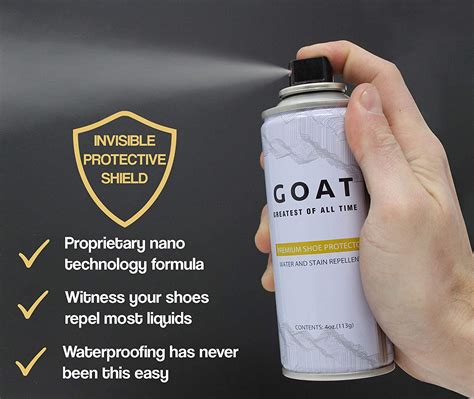 Premium Shoe Protector Spray - Stain and Water Repellent for Shoes 722874731933 | eBay