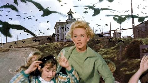 Pecking Order: Alfred Hitchcock's THE BIRDS At 60