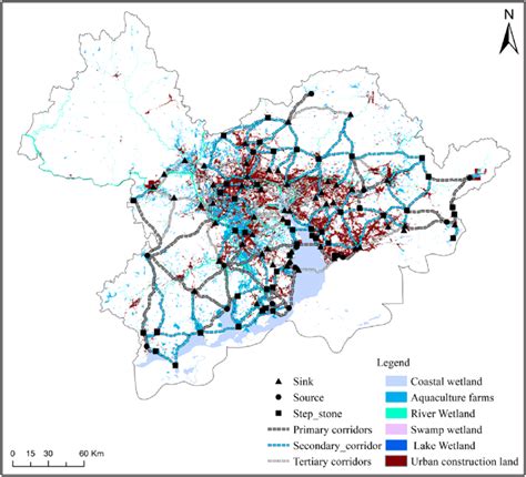 Schematic diagram of waterbird ecological corridor through urban area... | Download Scientific ...