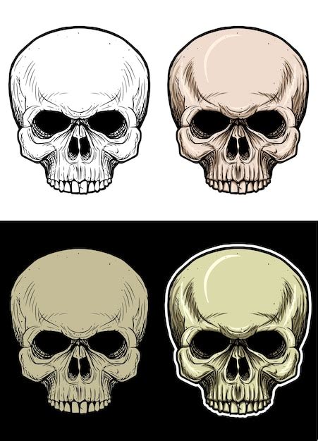 Premium Vector | Skull head without lower jaw drawing illustration with ...