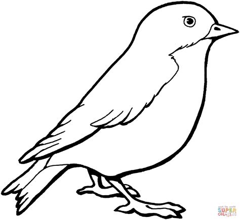 Simple Sparrow Drawing at GetDrawings | Free download