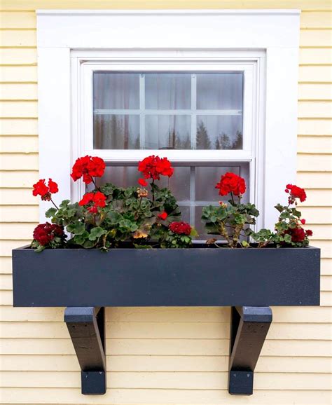 26 Best Window Box Planter Ideas and Designs for 2023