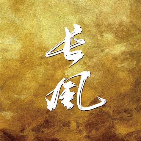10P Chinese traditional calligraphy brush calligraphy font style appreciation #.1026 – Free ...