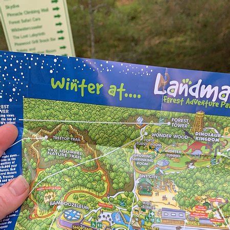 Landmark Forest Adventure Park (Carrbridge) - 2021 All You Need to Know BEFORE You Go (with ...