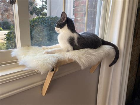 LIVINGbasics Cat Window Perch Cat Hammock Window Seat With Strong ...