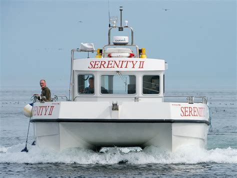 SERENITY FARNE ISLAND BOAT TOURS (Seahouses) - All You Need to Know ...