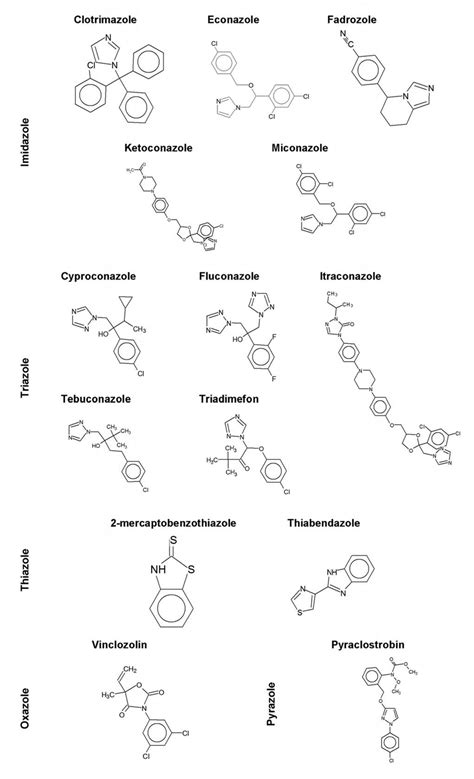 Classification and molecular structure of azole fungicides. An azole is... | Download Scientific ...