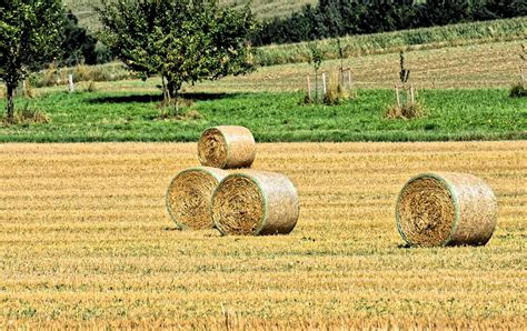 Hay Bales Landscape Farm Yard - Free photo on Pixabay