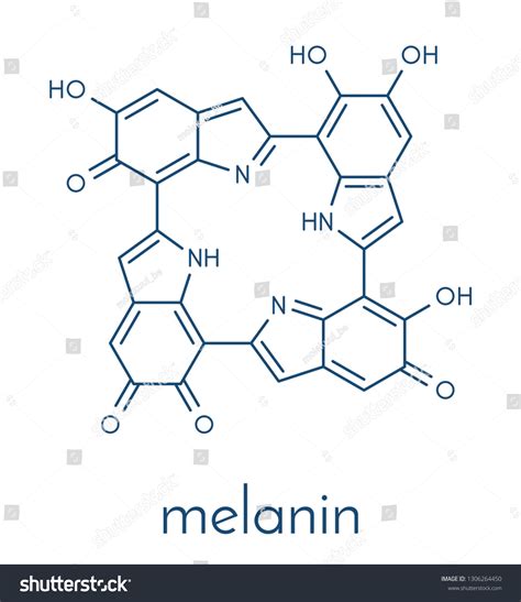 Melanin Eumelanin Proposed Oligomeric Structure Model Stock Vector (Royalty Free) 1306264450 ...