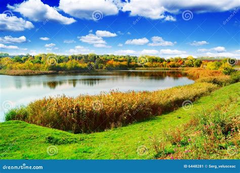 Lake stock image. Image of beauty, green, color, landscape - 6448281