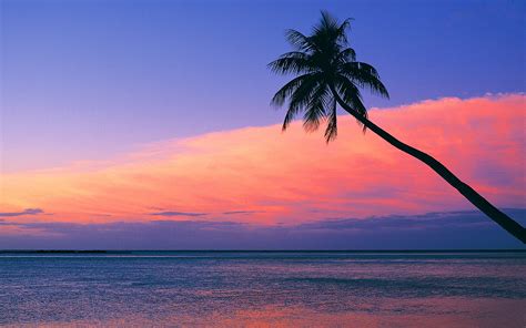 Look at the pink sunset from the beach wallpaper - Beach Wallpapers