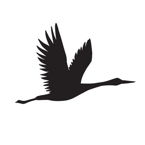 Premium Vector | Vector flying crane bird silhouette