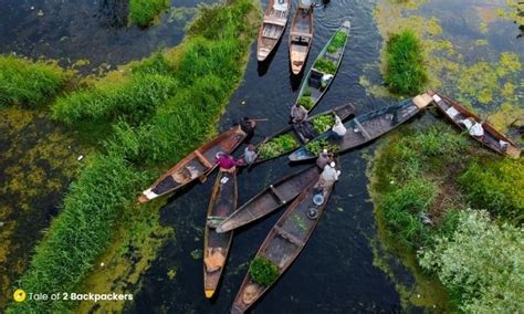 Floating Gardens Of Kashmir | Fasci Garden