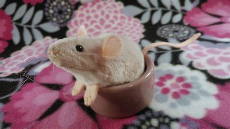 Light Pink Mouse Plushie with White Belly | Citrine Mouse