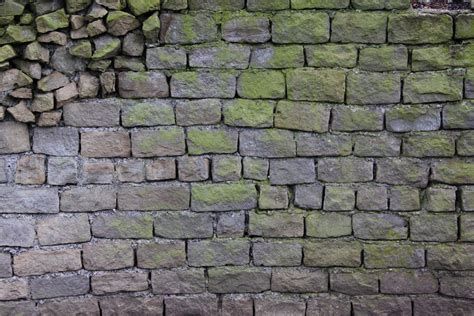 Brick Texture Rock Stone Algea Grey Green Uneven by TextureX-com on DeviantArt