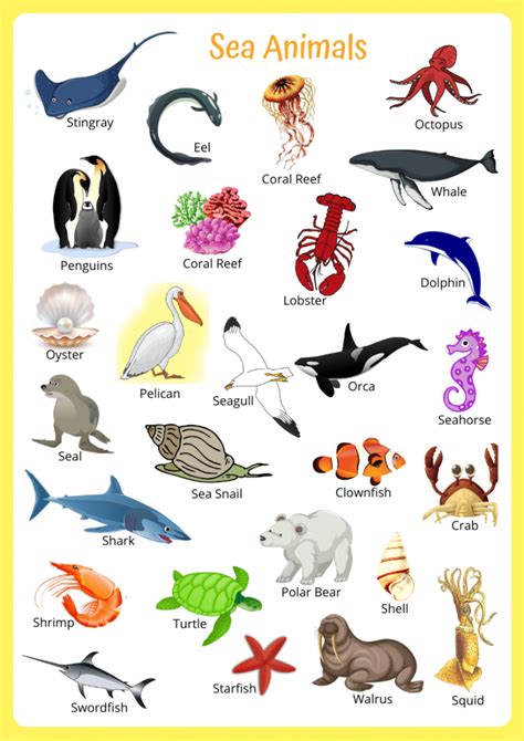 Sea Animals Flashcards - English4Good - Vocabulary practice