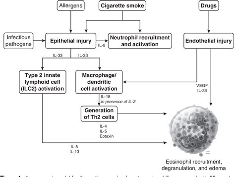 Acute Eosinophilic Pneumonia. Causes, Diagnosis, and Management ...