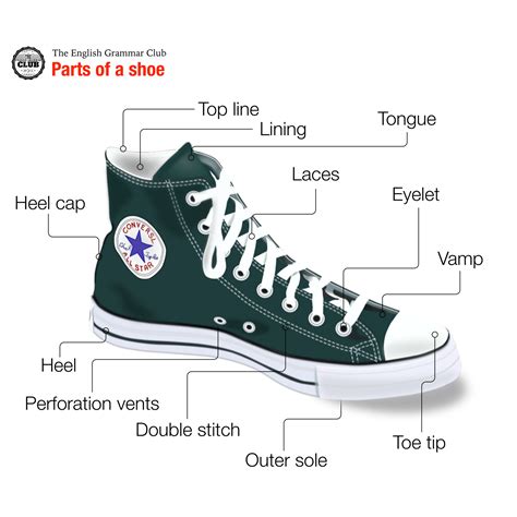 Diagram Parts Of A Shoe