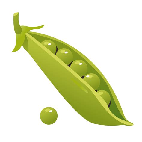 Green peas in a pod isolated on a white background. Healthy organic ...