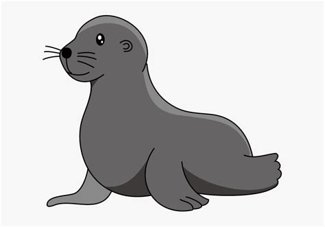 Baby Sea Lion Elephant Seal Clip Art - Clip Art Sea Lion, HD Png Download - kindpng