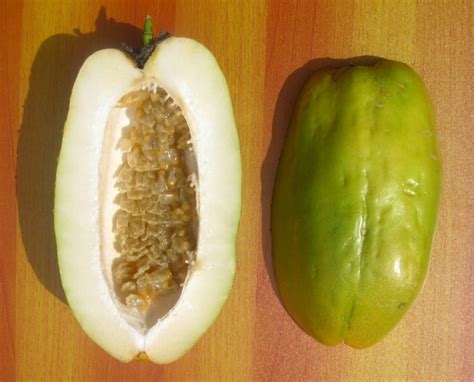 22 Exotic Tropical Fruits of Colombia (2017 Update)