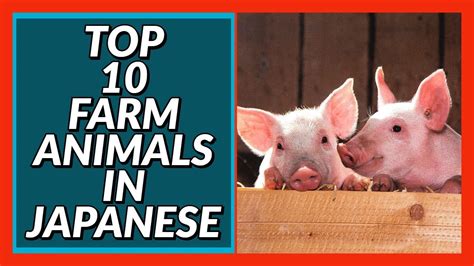 Top 10 Farm Animals in Japanese! Beginner Conversation Series - YouTube