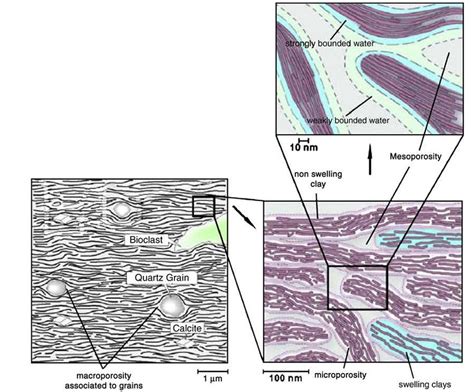 Conceptual model of COx clay microstructure (after Yven et al. 2007). | Download Scientific Diagram