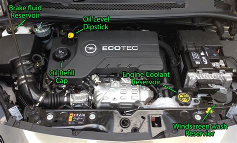 Labeled Under The Hood Of A Car Diagram